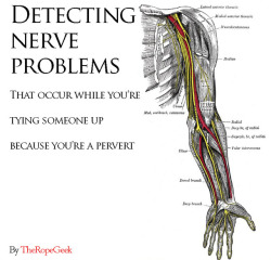 theropegeek:  text and layout by memodels:  K, @tardiscunttreasures, @camdamage​, @ropebaby​, @jewelryandfire​Nerve Injury Reference Card from frozenmeursault.com