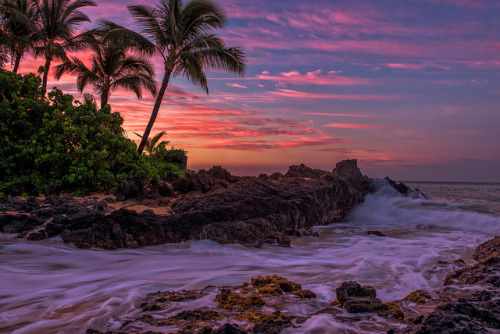 live-vibe:  Landscape blog here