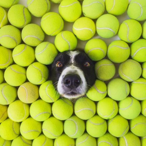 wicked-naughty-diva:  WOOF. 