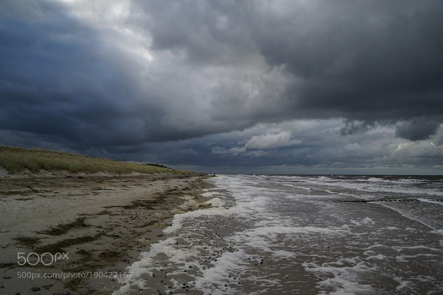 kohalmitamas:Fischland Darss VII by Rohdiamant