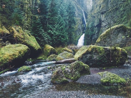 justapplyyourself:Cascade Locks, Oregon.