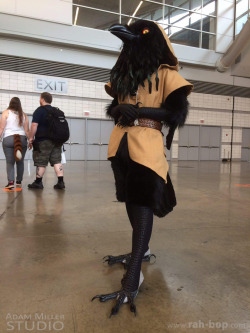 exvarn:immelmann42:ua86:anuvia:rah-bop:Some photos of my kenku costume at Anthrocon 2016, taken by @adammillerstudio! Oh boy did I ever have a lot of fun! The other raven in these photos is @qawstume and the snowy owl we are mobbing is @crystumes, who