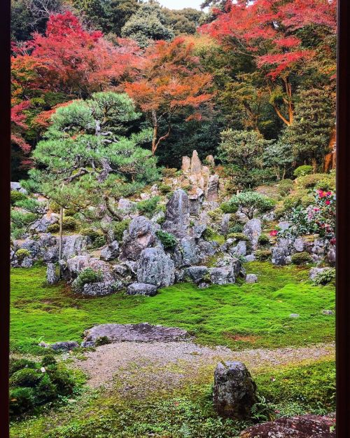 青岸寺庭園 [ 滋賀県米原市 ] Seigan-ji Temple Garden, Maibara, Shiga の写真・記事を更新しました。 ーー #18きっぷ 旅行者必読JR米原駅から徒歩7分の苔