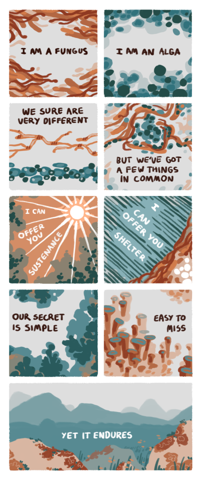 catadromously:ALTemo about lichens again
