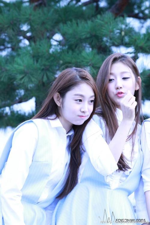 lovelyzglobal: © EDISONWUU1005