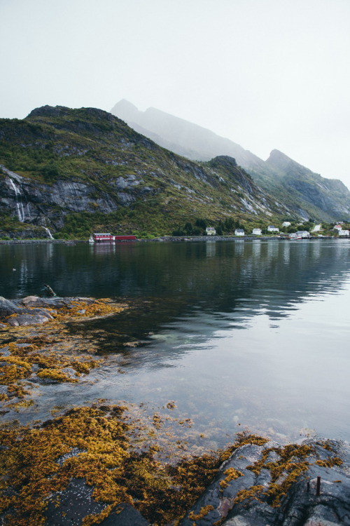 teapalm:(Tasha Marie) | Lofoten Islandsprints | instagram | behance