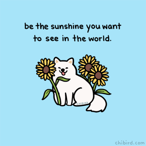 Porn chibird: Some sweet dogs with flowers to photos