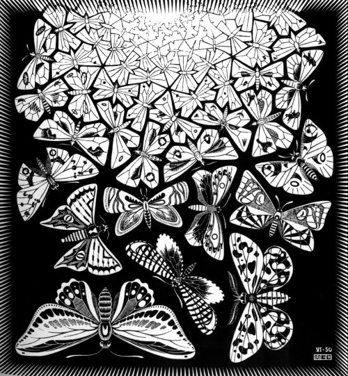 immortart:  Maurits Cornelis Escher, Butterflies, 1950.