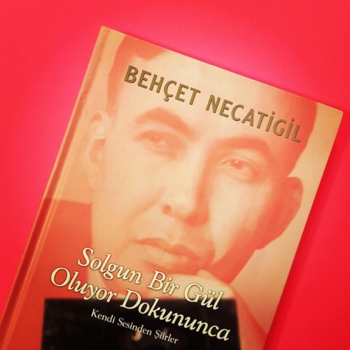 Solgun Bir Gül Oluyor Dokununca kitabı ve bu kitapla birlikte verilen CD, Behçet Necatigil'in kendi 