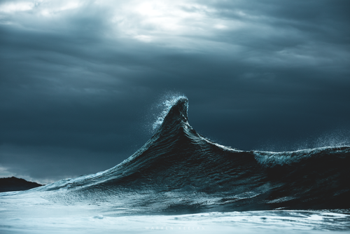 D Ø R S A Lwww.WarrenKeelan.comwww.instagram.com/WarrenKeelan