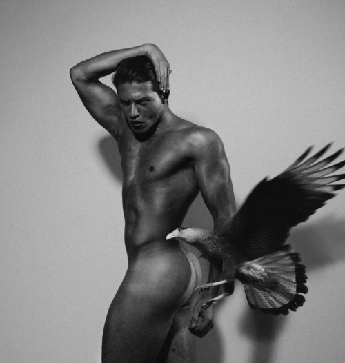 bambam62:  Bernardo Leite by Paulo Higor Nunes 
