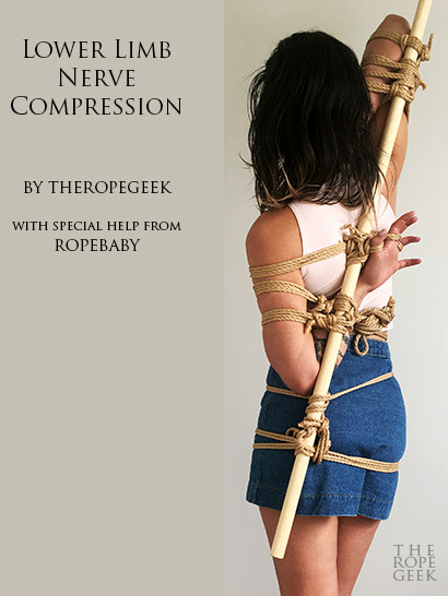 theropegeek: All rope, photos, text and layout by me.  Featuring @ropebaby​ and