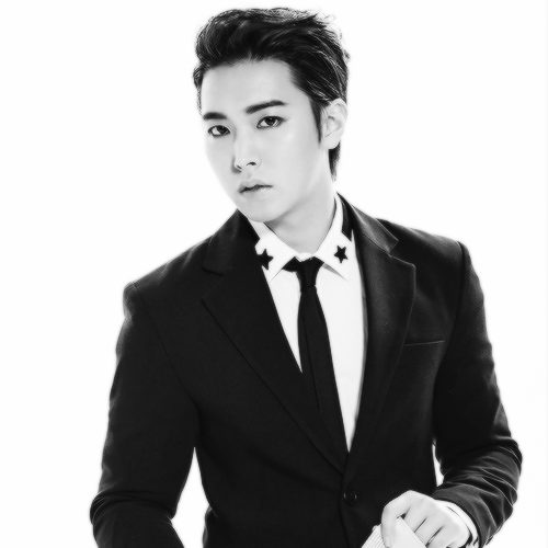  SJM Swing 
