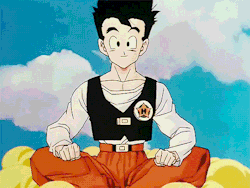 dragonballzgifs:  Follow for more DBZ gifs