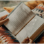 simplereaderx