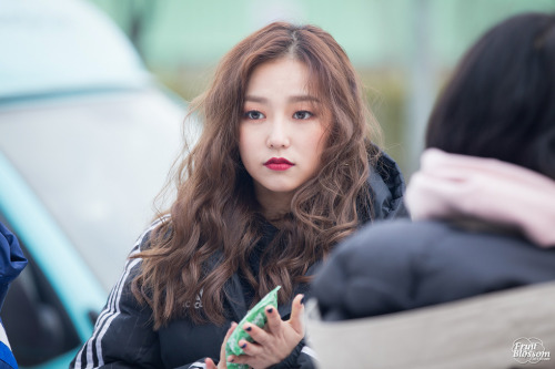 Fruit Blossom Do Not Edit 