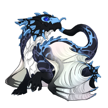 A Flight Rising sprite of a black, white, and blue Guardian dragon hatchling