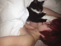 lost-lil-kitty:  How I’m trying to sleep right now!