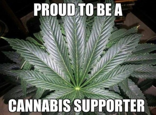 Proud Supporter!