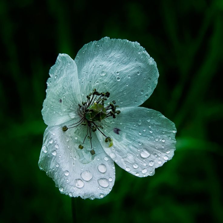 enigmatic0707:  After the storm by Tamás Hauk on Fivehundredpx 