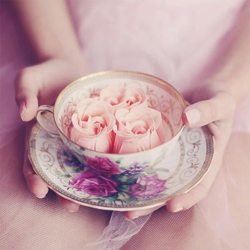 lace & bow little