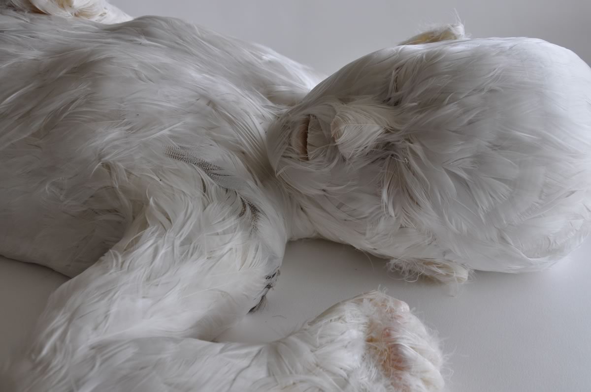 artmonia:  Lucy Glendinning – sculptor and installation artist.  WHAT THE FUCK??