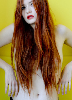 ninasever:  The yellow wall sequenceNins by Stuart Mitchell | Walnutwax photography