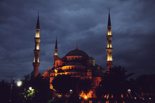 ancav:Istanbul and its skyline mosques - Summer 2014.© Anca Varsandan