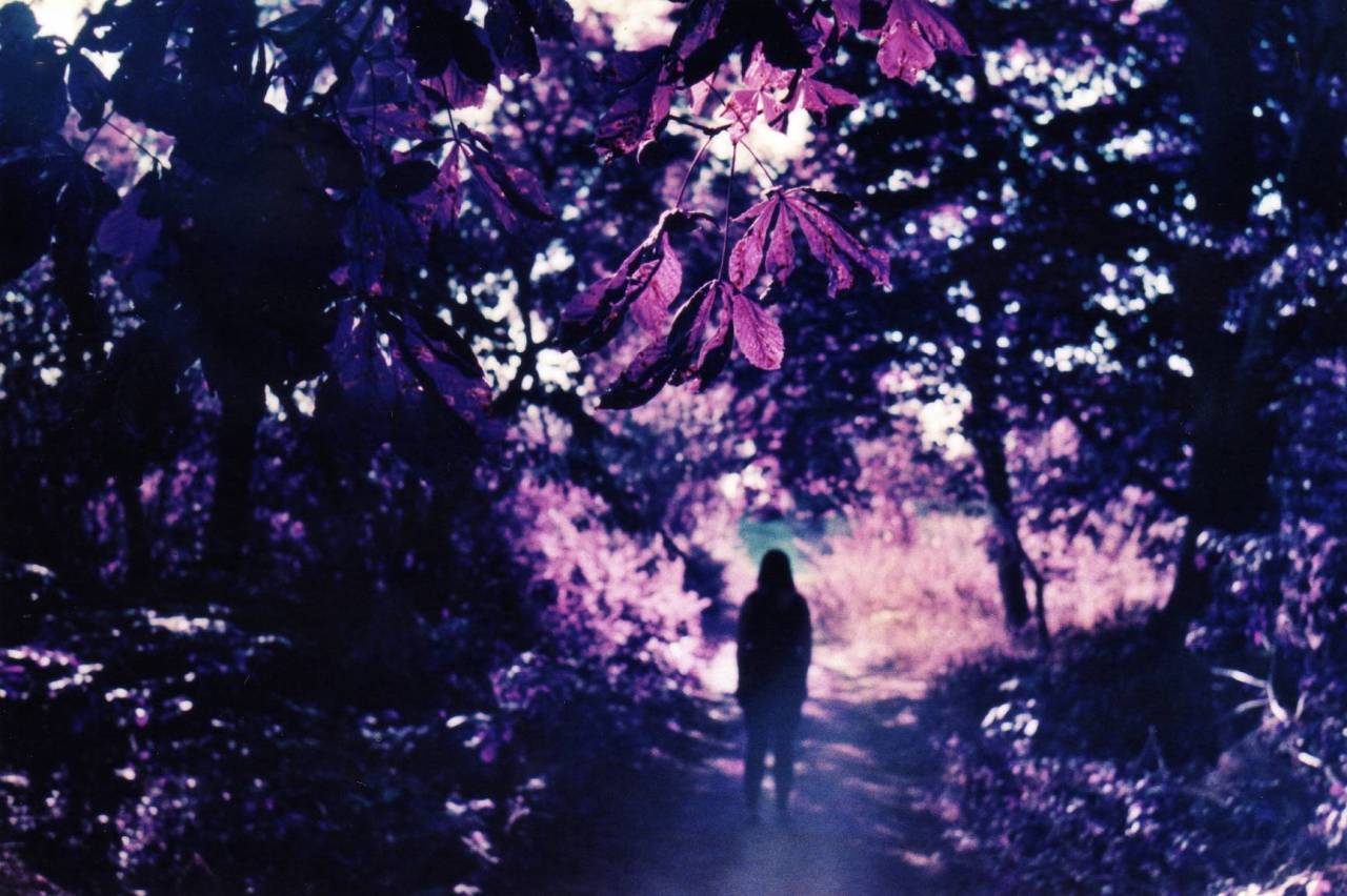 lomographicsociety:  Cast of Dark: Dusky Purple By now the Lomography site is like