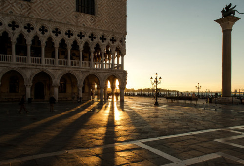 infected:  Sunrise, Venice by Alvise Mori