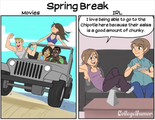 quasi-normalcy: sinfulnoodle: aprillikesthings: senakoko: pr1nceshawn: Why Movies About College are 