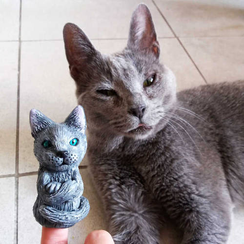 Russian Blue cat finger puppet inspired by my love Aria  Glass eyes from Mandarinducky . I&rsquo;m s