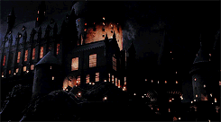 Harry Potter Daily