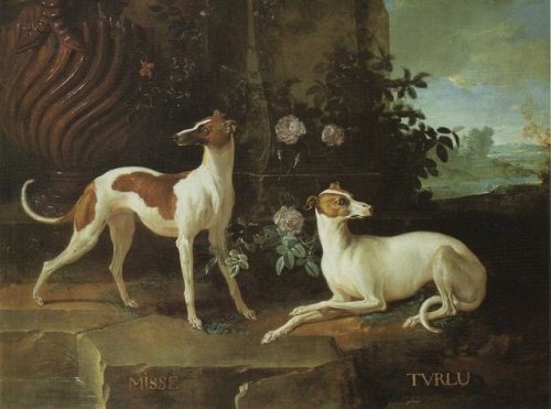 Misse and Turlu,Two Greyhounds Belonging to Louis XV by Jean-Baptiste Oudry (1725)