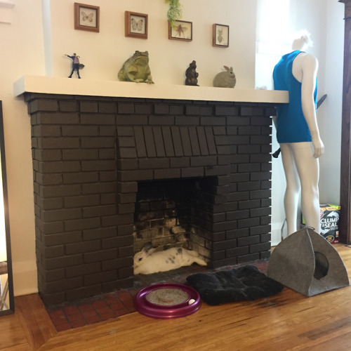 pangur-and-grim: penguintree:  jeez-oh-worm:  pangur-and-grim: Wheat Thick’s got a new spot Wh