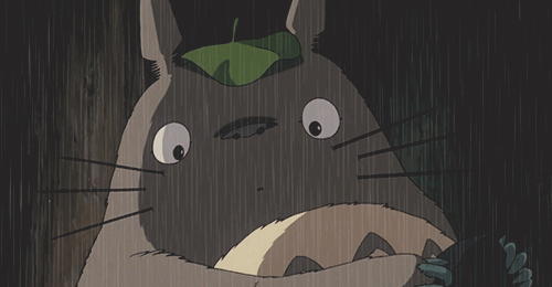  My Neighbor Totoro (1988) 