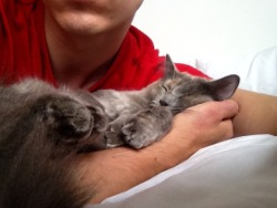 your-aftershave-ocean:  Cuddling baby cat