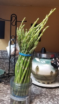 artemispanthar:Apparently if you put asparagus spears in water and then don’t put them in the fridge because there was no room then those funky lads just keep growing Look at ‘em go