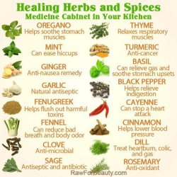 muffintop-less:  Healing Herbs &amp; Spices! 