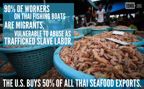 18mr:By now, you’ve probably read about how the Thai fishing industry’s backbone is traf