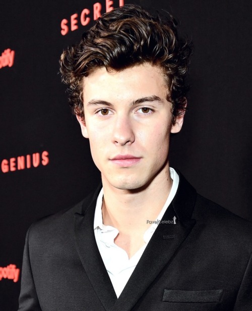 favecelebz:November 1: Shawn Mendes at the Spotify Secret Genius Awards tonight! ❤️ The more I look 