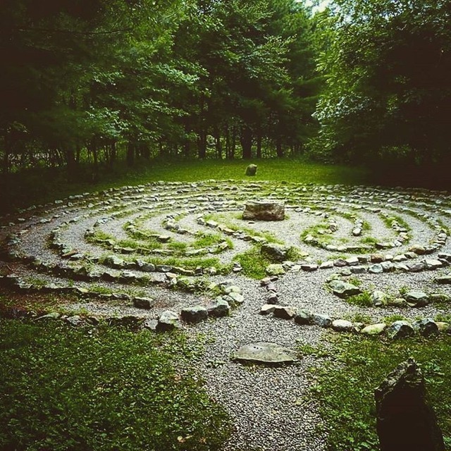 Druid gardens Gardening a creative journey