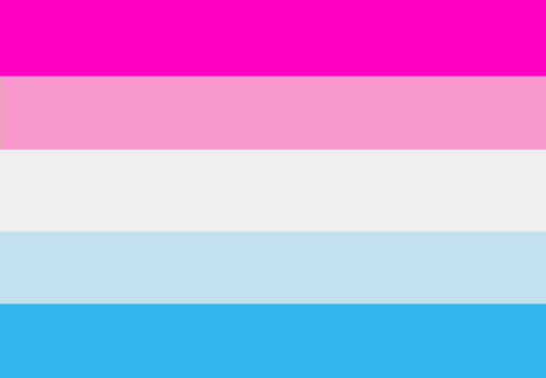 duwang-flags-inc:Crazy Diamond Pride FlagsOrder: Gay, Lesbian, Bi, Trans, NB, Pan, Polysexual, Asexu