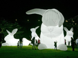 theotherwesley:  staceythinx:  Giant inflatable rabbit installations by artist Amanda Perer  I for one welcome our new cloud bunny overlords  