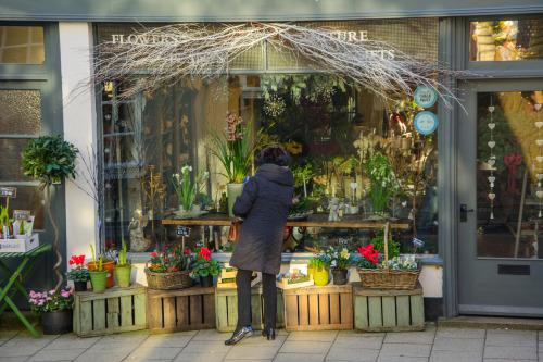 morningsandevenings:Arundel, Sussex - December 2014