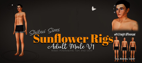 Sunflower Rigs: Adult Male V1 (Tall, Normal and Short) Do you find pose making difficult or time con