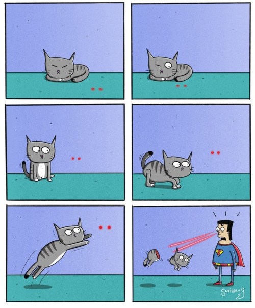 scribblyg:  Superman’s Cat