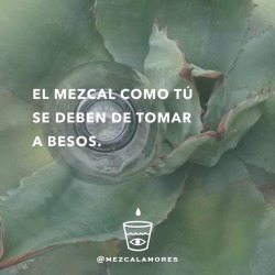 neomexicanismos:  A besos 😘 #Mezcal #mexico #salud