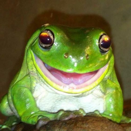 froggo-friend: