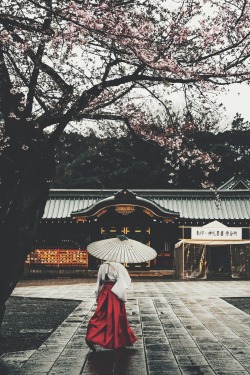 ikwt:  Yasukuni Shine (Yoshiro Ishii)